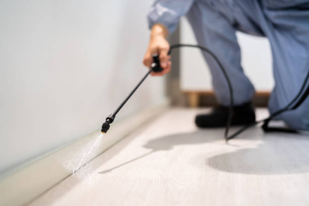 Professional exterminator conducting IPM assessment in Broad Brook