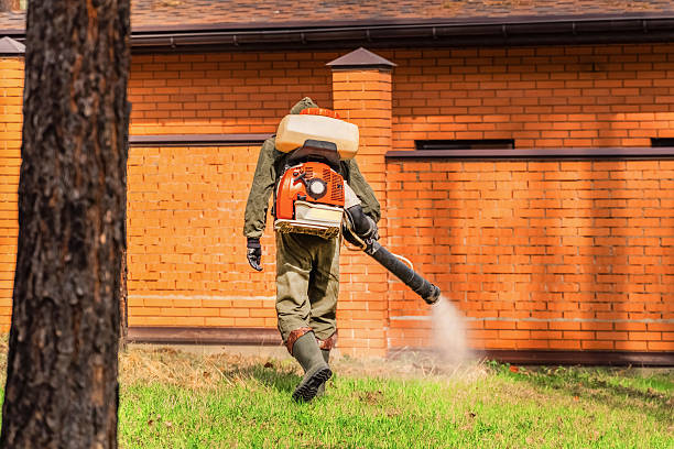 Bed Bug Clearance Verification and Documentation in Broad Brook